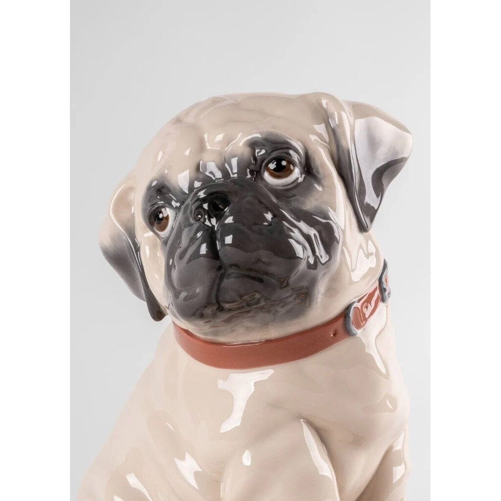 Lladro Porcelain Puppie Pug Figurine Figurines Lladro 